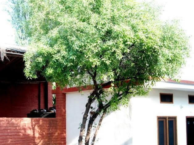 Chandra Hill Resort Ranakpur Bagian luar foto